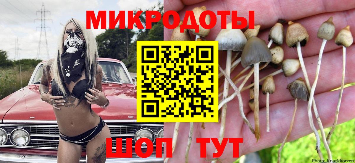 Людиново  Псилоцибиновые грибы Cubensis  Вход с VPN  Галлюциногенные грибы мухоморы 